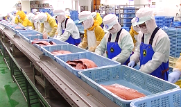 ぎょれん総合食品(北海道小樽市/星置駅/食品販売)_3